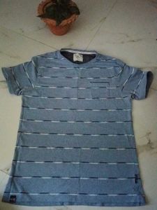 blue striped tshirt