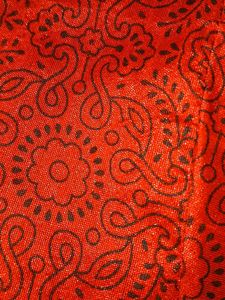 Red Brocade Blouse
