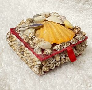 Seashell Jewelry
