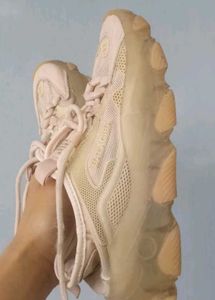 Shoe Size 36