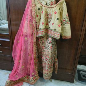 Embroidered Lehenga Choli