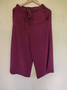Plazzo Pant