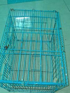 Blue Bird Cage