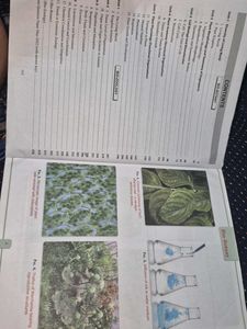 Biology Textbook Class 11