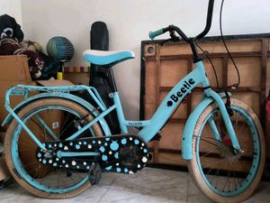 Beetle Kids Bicycle