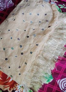 Embellished Dupatta