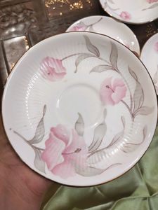 Fine Bone China Plates