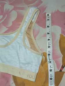 Combo Of 3 Sports Bra
