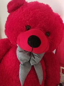 Red Teddy
