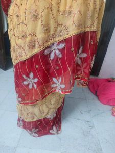 Beautiful Red Nd Golden Saree