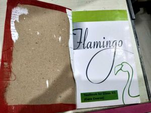 Flamingo Textbook Class XII