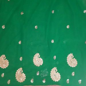 Green Saree 🥻