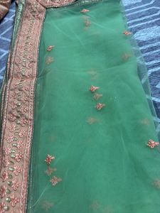 Peach &amp; Neon Green Lehenga (Set Of 3)