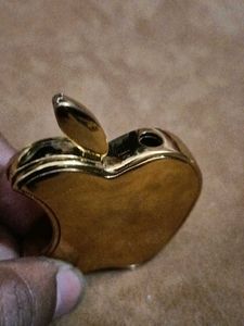Vintage Golden Apple Logo Metal Lighter