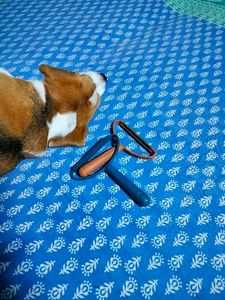 Brand New Lint Remover