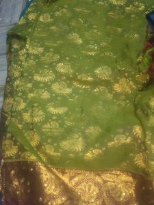 New Pattu