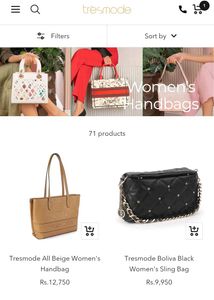New Tesmode Purse