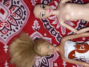 Barbie Doll Bundle