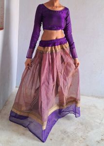 Beautiful Lanhga Choli