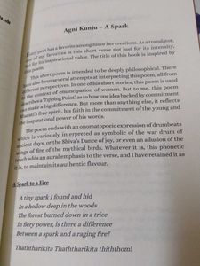 Firelets: Glimpses of Poetry