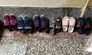 Assorted Women's Flip Flops