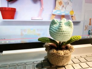 Cute Little Pinterest Tulip