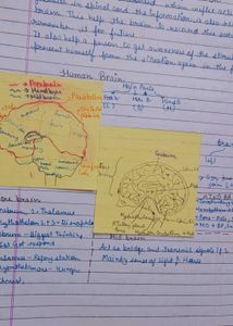 Udaan Pw Batch Notes