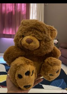 Cute Teddy Bear Combo