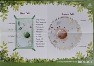 9th Class Biology Textbook