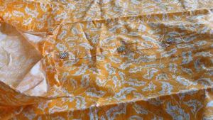 cord set, colour yellow, size xL, and XXL availabl