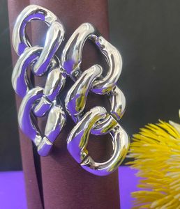 Silver Chain Earring⛓️