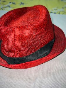 Stylish Hat