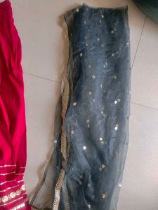 Elegant Lehenga Choli Set