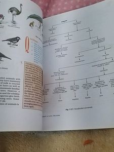 Class 9th Science Ncert Textbook