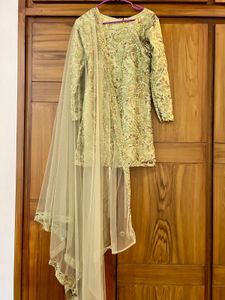 Elegant Pakistani Dress