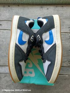 Nike SB Allyoop Original Pairs
