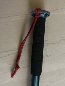 Trekking Stick