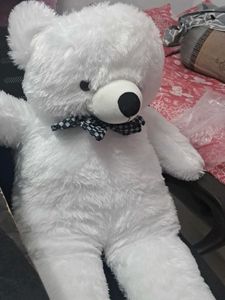 Cute White Teddy Bear
