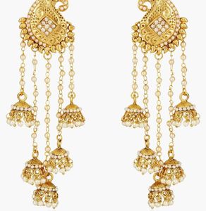 Elegant Ethnic and Party wear Earning
