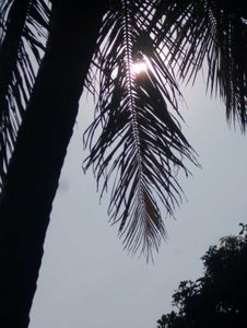 Nikon Coolpix L26