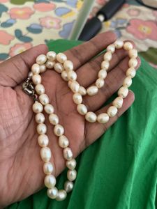 Authentic Elegant Pearl Necklace