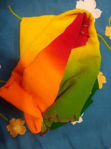 Colorful saree