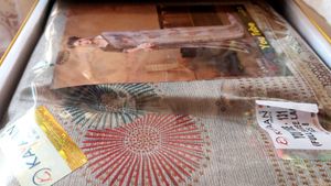 Kayaan Sealed Pack Chiffon Saree