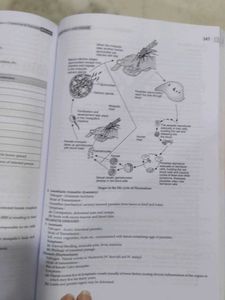 NEET UG Solved Papers