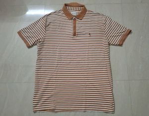 (Size~XL)Brown and white striped polo t-shirt🍋‍🟩