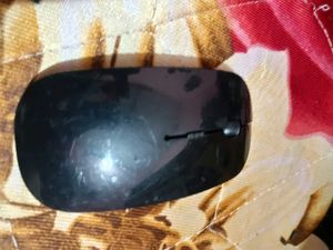 Warless Mouse