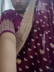 Elegant Embroidered Saree