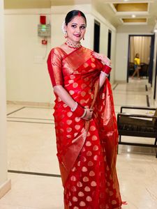 Organza Saree