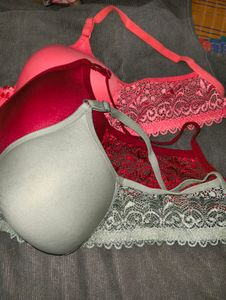 Women Padded Bra Pack Of 3