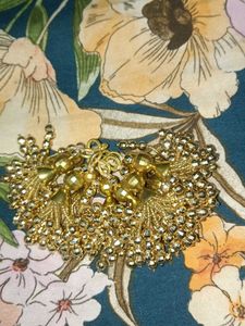 10 Golden Tassels